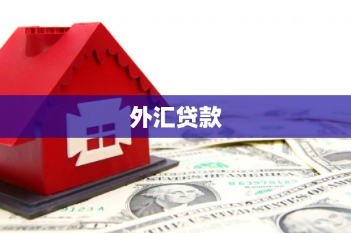氹仔岛外汇贷款