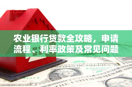 氹仔岛农业银行贷款全攻略，申请流程、利率政策及常见问题解析