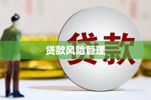 氹仔岛贷款风险管理