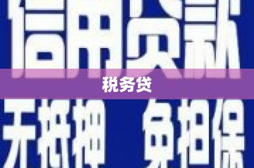 氹仔岛税务贷