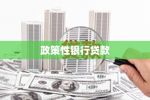 氹仔岛政策性银行贷款
