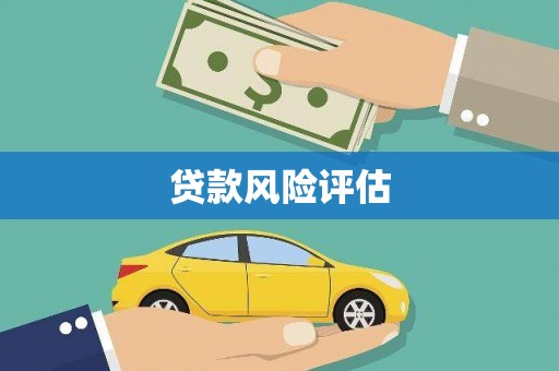 氹仔岛贷款风险评估