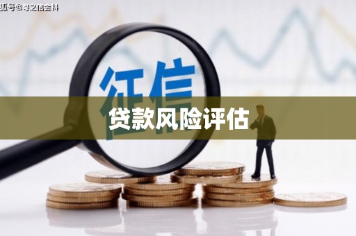 氹仔岛贷款风险评估