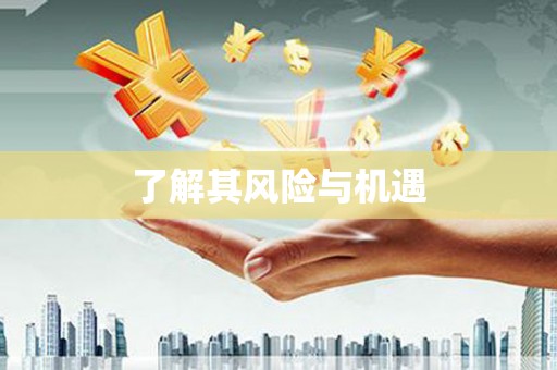 氹仔岛了解其风险与机遇