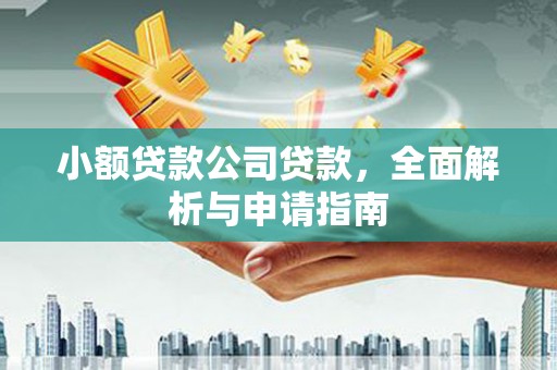 氹仔岛小额贷款公司贷款，全面解析与申请指南