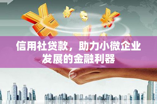 氹仔岛信用社贷款，助力小微企业发展的金融利器
