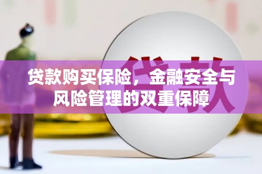 氹仔岛贷款购买保险，金融安全与风险管理的双重保障