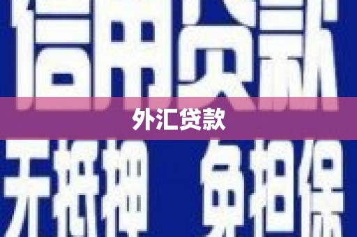 氹仔岛外汇贷款