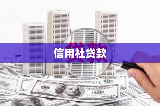 氹仔岛信用社贷款