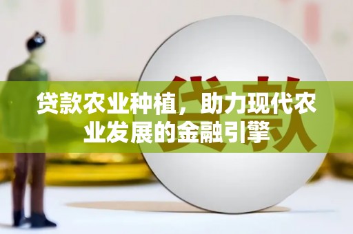 氹仔岛贷款农业种植，助力现代农业发展的金融引擎