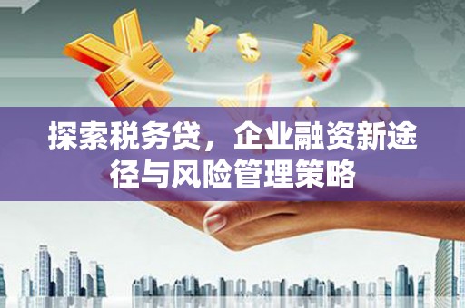 氹仔岛探索税务贷，企业融资新途径与风险管理策略