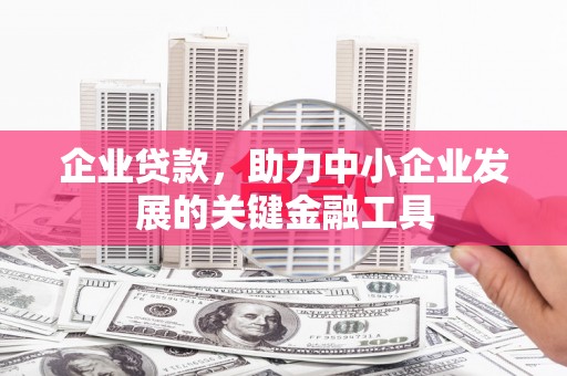 氹仔岛企业贷款，助力中小企业发展的关键金融工具