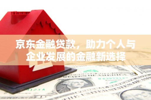 氹仔岛京东金融贷款，助力个人与企业发展的金融新选择