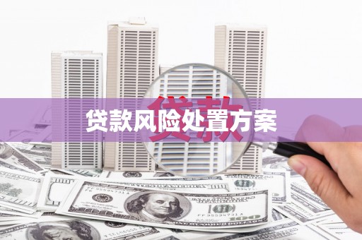 氹仔岛贷款风险处置方案