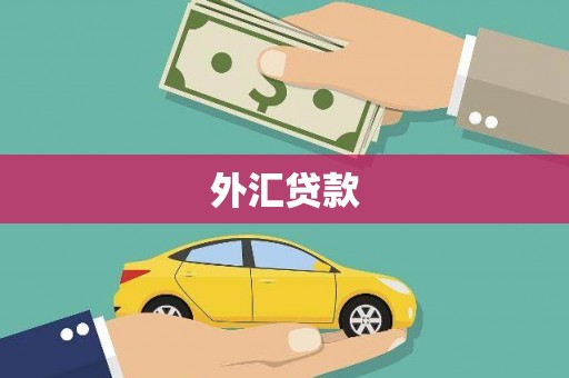 氹仔岛外汇贷款