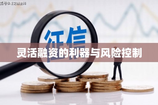 氹仔岛灵活融资的利器与风险控制