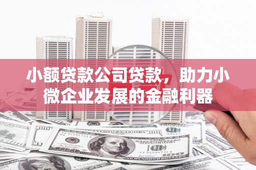 氹仔岛小额贷款公司贷款，助力小微企业发展的金融利器