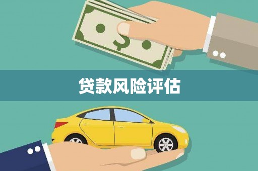 氹仔岛贷款风险评估