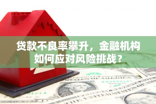氹仔岛贷款不良率攀升，金融机构如何应对风险挑战？