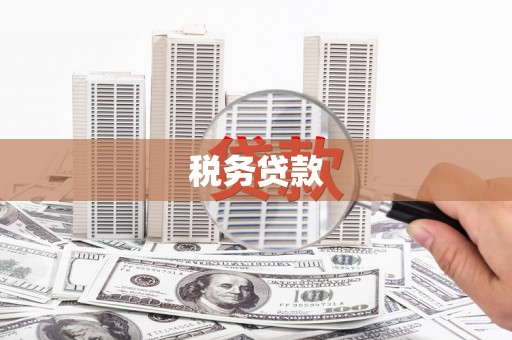 氹仔岛税务贷款