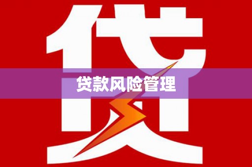 氹仔岛贷款风险管理