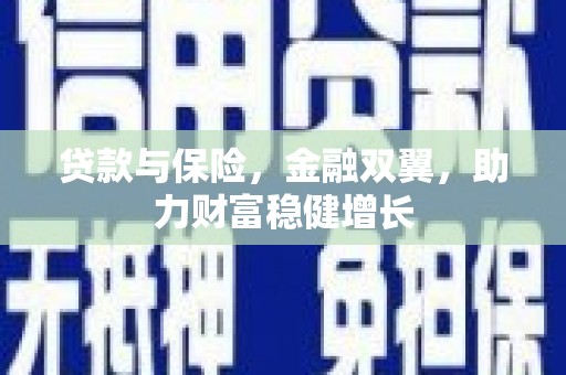 氹仔岛贷款与保险，金融双翼，助力财富稳健增长