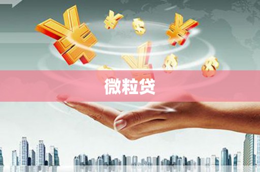 氹仔岛微粒贷