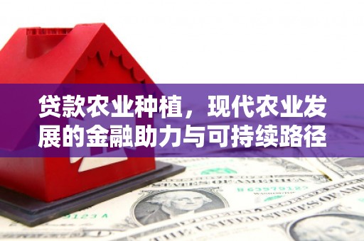 氹仔岛贷款农业种植，现代农业发展的金融助力与可持续路径