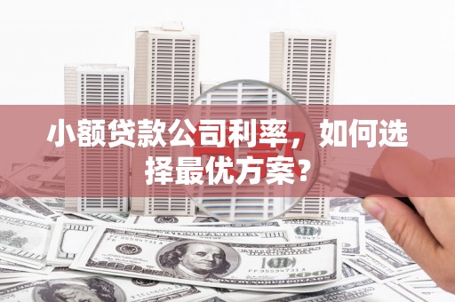 氹仔岛小额贷款公司利率，如何选择最优方案？