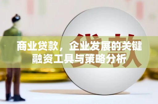 氹仔岛商业贷款，企业发展的关键融资工具与策略分析