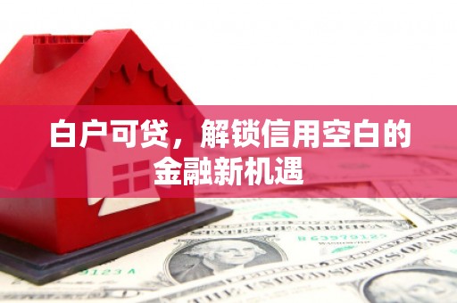 氹仔岛白户可贷，解锁信用空白的金融新机遇