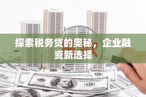 氹仔岛探索税务贷的奥秘，企业融资新选择