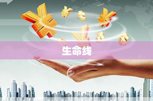 氹仔岛生命线