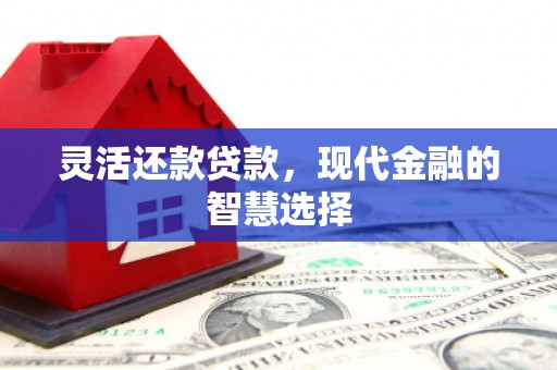 氹仔岛灵活还款贷款，现代金融的智慧选择