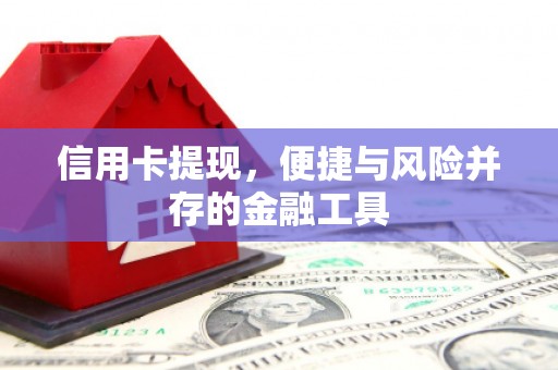 氹仔岛信用卡提现，便捷与风险并存的金融工具