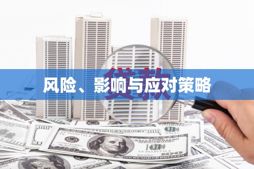 氹仔岛风险、影响与应对策略