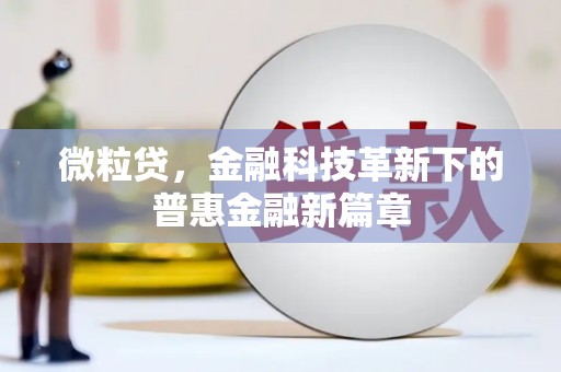 氹仔岛微粒贷，金融科技革新下的普惠金融新篇章