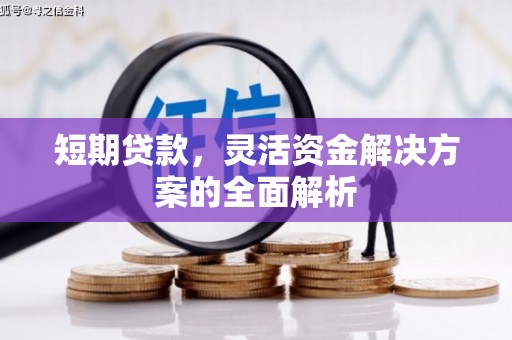 氹仔岛短期贷款，灵活资金解决方案的全面解析