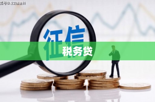 氹仔岛税务贷