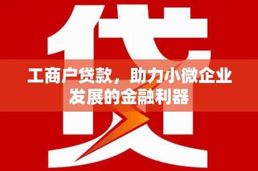 氹仔岛工商户贷款，助力小微企业发展的金融利器