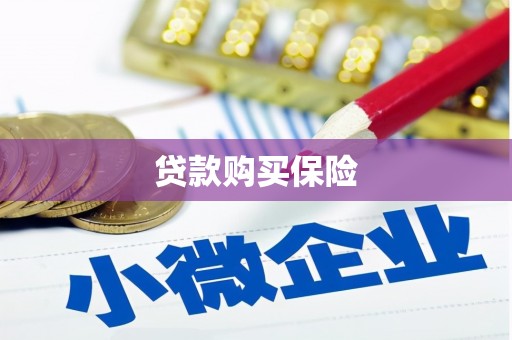 氹仔岛贷款购买保险