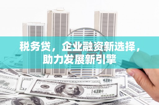 氹仔岛税务贷，企业融资新选择，助力发展新引擎