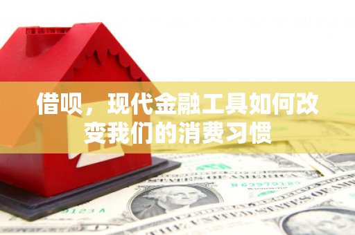 氹仔岛借呗，现代金融工具如何改变我们的消费习惯
