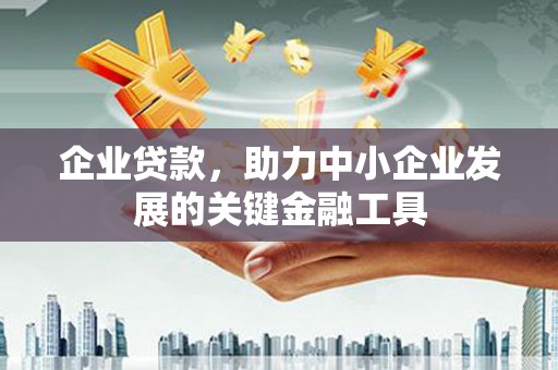 氹仔岛企业贷款，助力中小企业发展的关键金融工具
