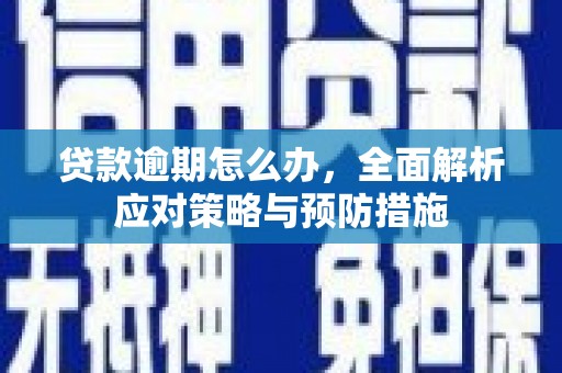 氹仔岛贷款逾期怎么办，全面解析应对策略与预防措施