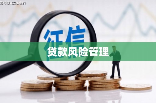 氹仔岛贷款风险管理