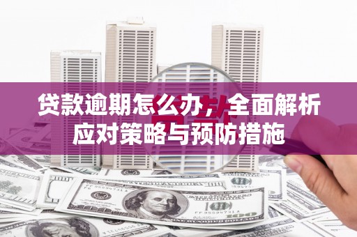 氹仔岛贷款逾期怎么办，全面解析应对策略与预防措施