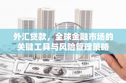 氹仔岛外汇贷款，全球金融市场的关键工具与风险管理策略