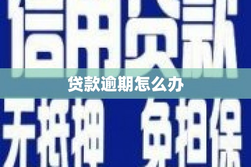 氹仔岛贷款逾期怎么办