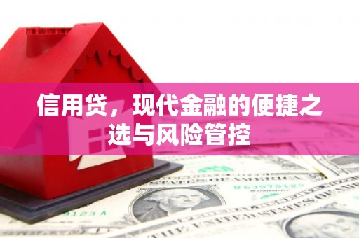 氹仔岛信用贷，现代金融的便捷之选与风险管控